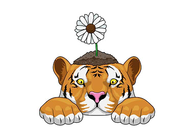 Tiger Daisy Flower