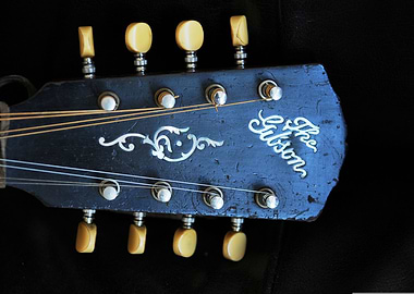 musical instrument gibson