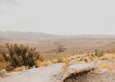 the great nature desert