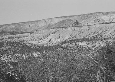 the great nature desert