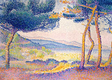 Pines Along the Shore