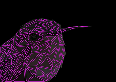 Hummingbird Lowpoly Neon