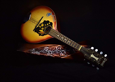 instrument round guitar