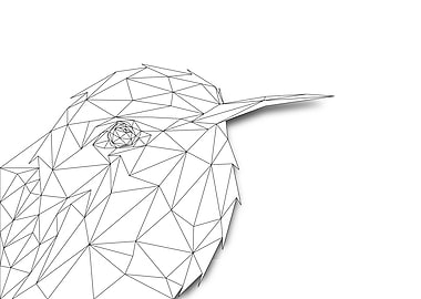 Hummingbird Lowpoly Frame