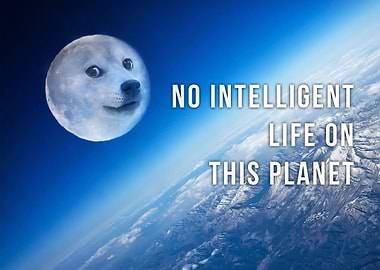 Doge Space