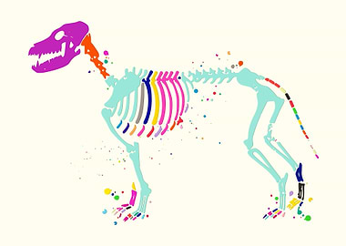 Dog Skeleton