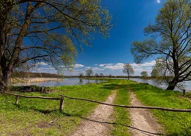 Spring in the wilderness