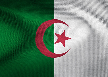 algeria algerian flag dz