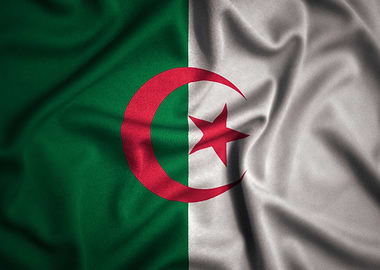 algieria algerian flag dz