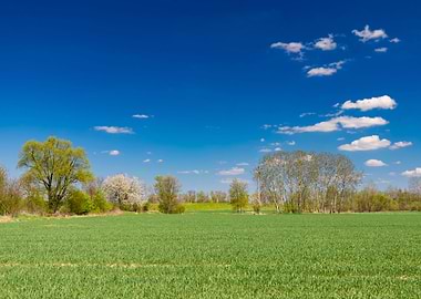 Landscape, meadow, travel