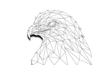 Eagle Lowpoly Wireframe