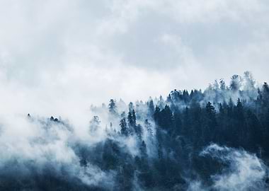 Cloudy Winter Wallpaper