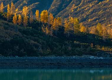 Golden hour in Alaska