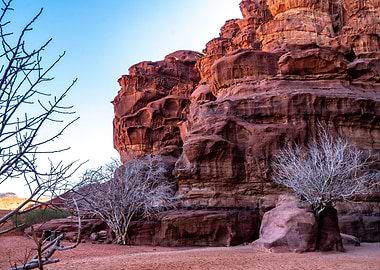 Rocks trees and sand