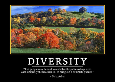 Diversity quotes