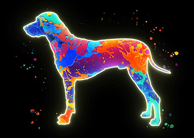 Rhodesian Ridgeback Dog