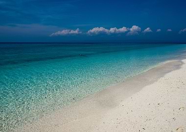 Beach In The Paradise
