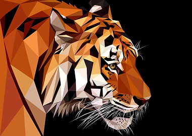 Side Tiger View Abstract