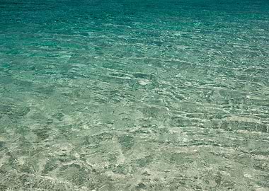 Beach In The Paradise