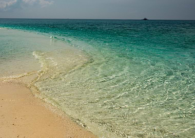 Beach In The Paradise