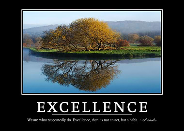 Excellence quotes