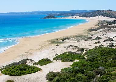 Cypriot Beach