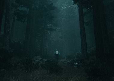 Dark Forest Scene 1 3D