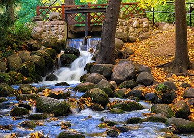 Park Oliwski In Gdansk