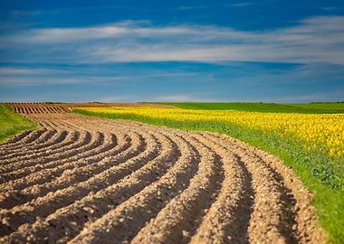 Picturesque spring scenery