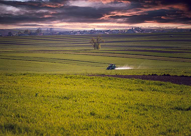Spring fields, stormy sky