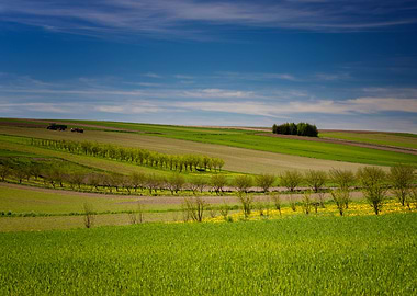 Picturesque spring scenery