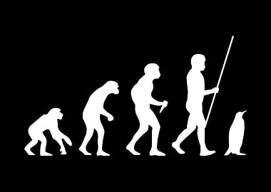 Penguin Evolution