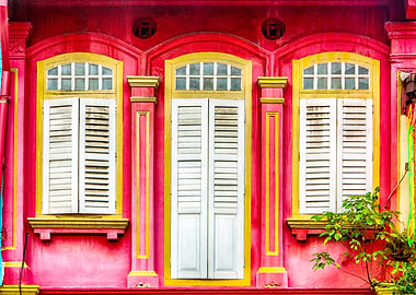 The Singapore Shophouse