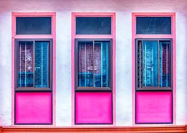 The Singapore Shophouse