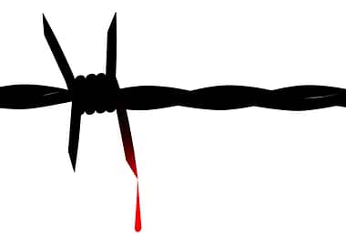 Yes No Maybe Traffic Light