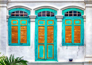 The Singapore Shophouse