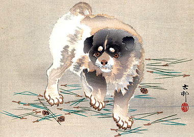 Young Dog by Ohara Koson