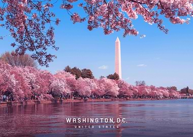 Washington DC