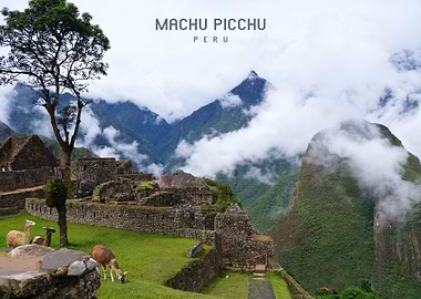 Machu Picchu