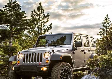 2013 Jeep Wrangler Rubicon