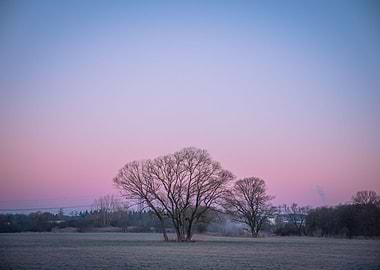 Colorful Cold Sunrise