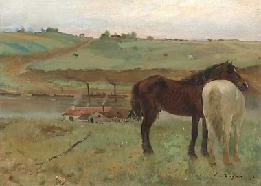 Horses in a meadow