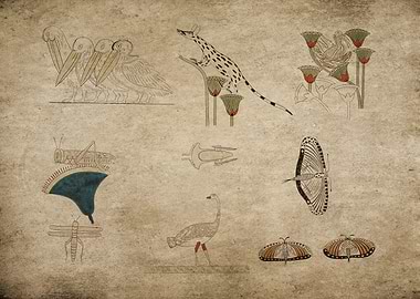 Egypt Nevothphs tomb