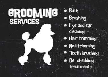 Dog Grooming Salon 2