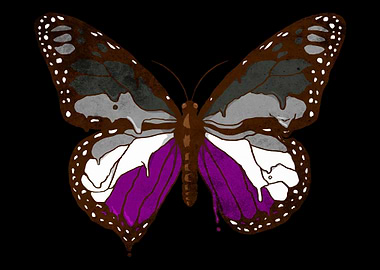 Asexual Pride Ace Flag