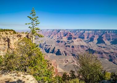 GRAND CANYON Idyllic view