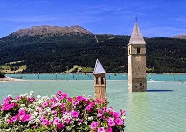 Flowers at Resia Lake