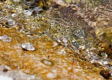Sea summer rocks close up