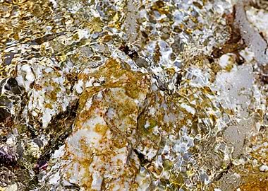 Sea summer rocks close up