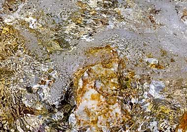 Sea summer rocks close up